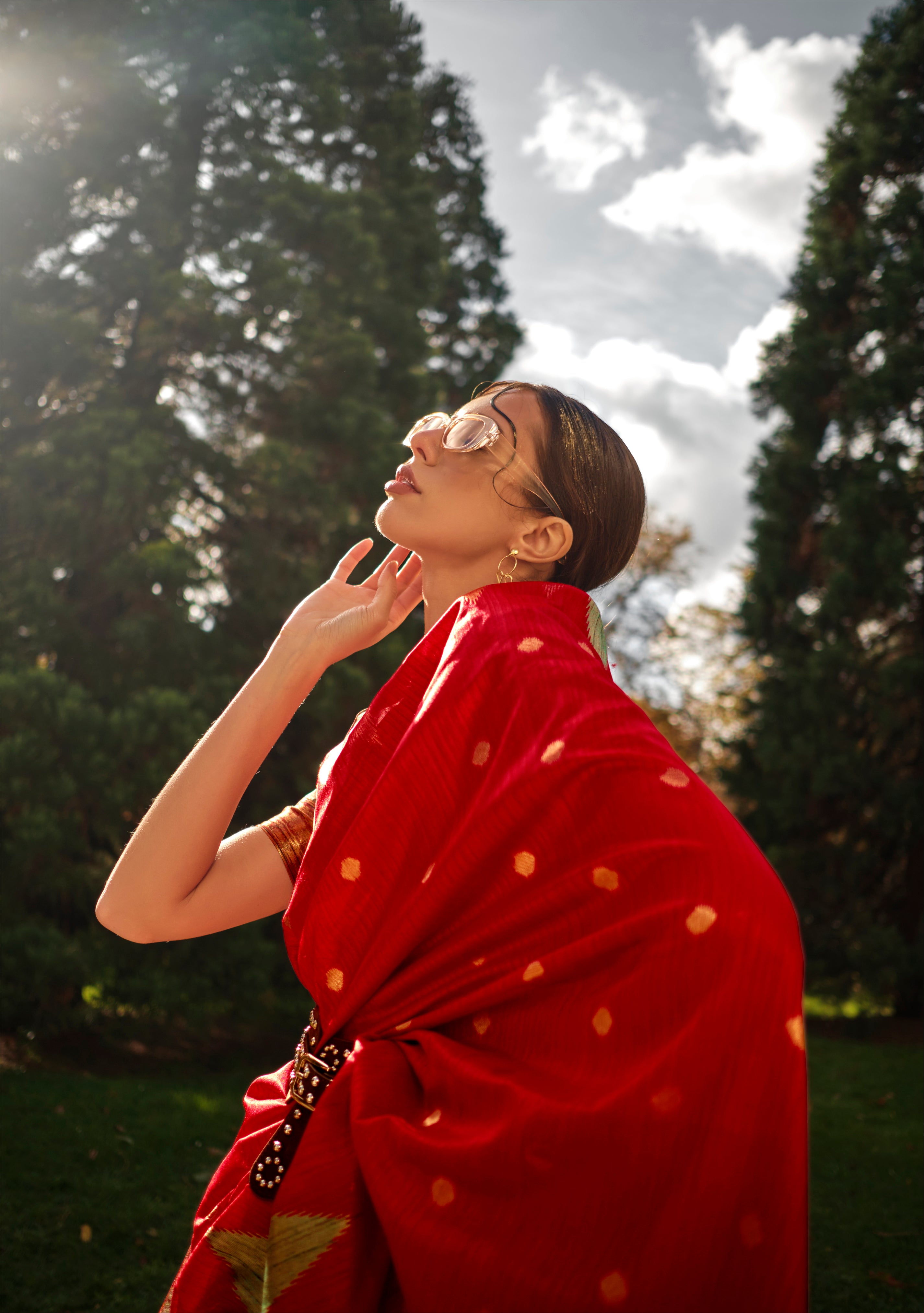 Vibrant Red Woven Khadi Temple Border Saree