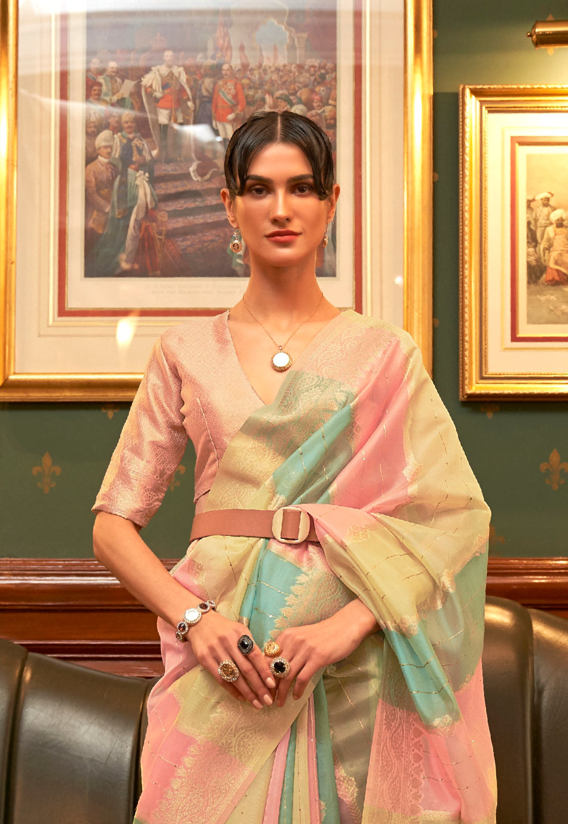 Elegant Multi-Color Banarasi Organza Saree