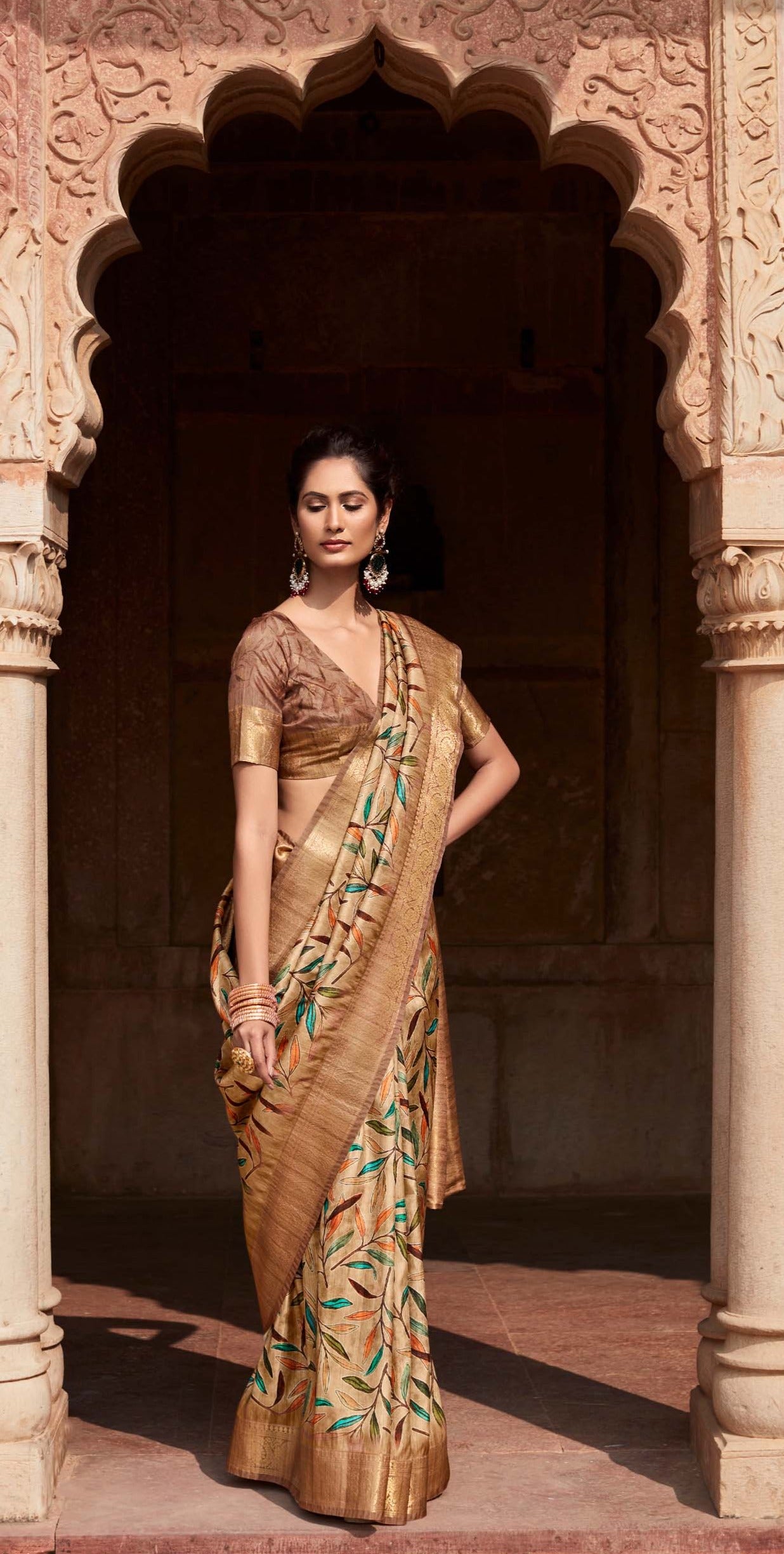 Walnut Brown Digital Printed Soft Silk Saree