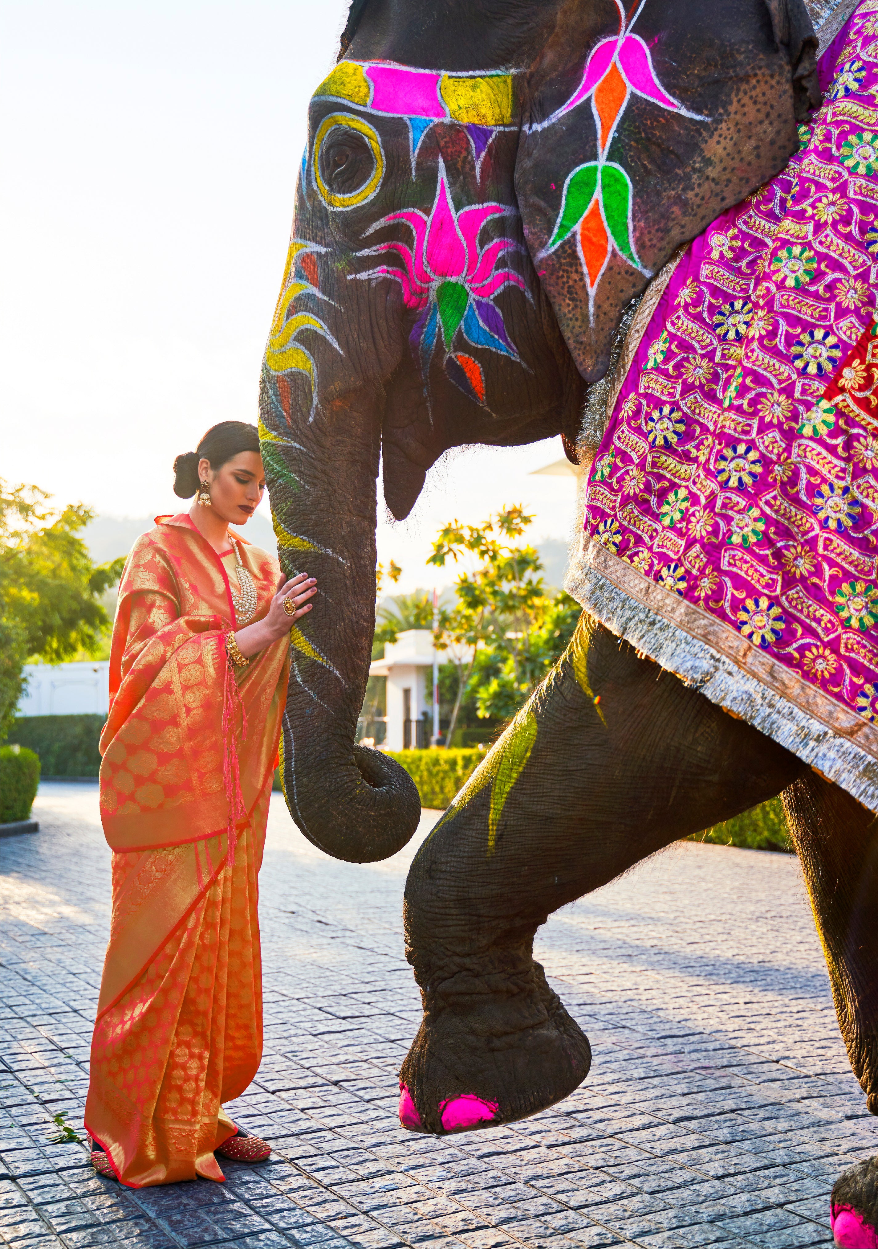 Amber Aura Kanjivaram Silk Saree