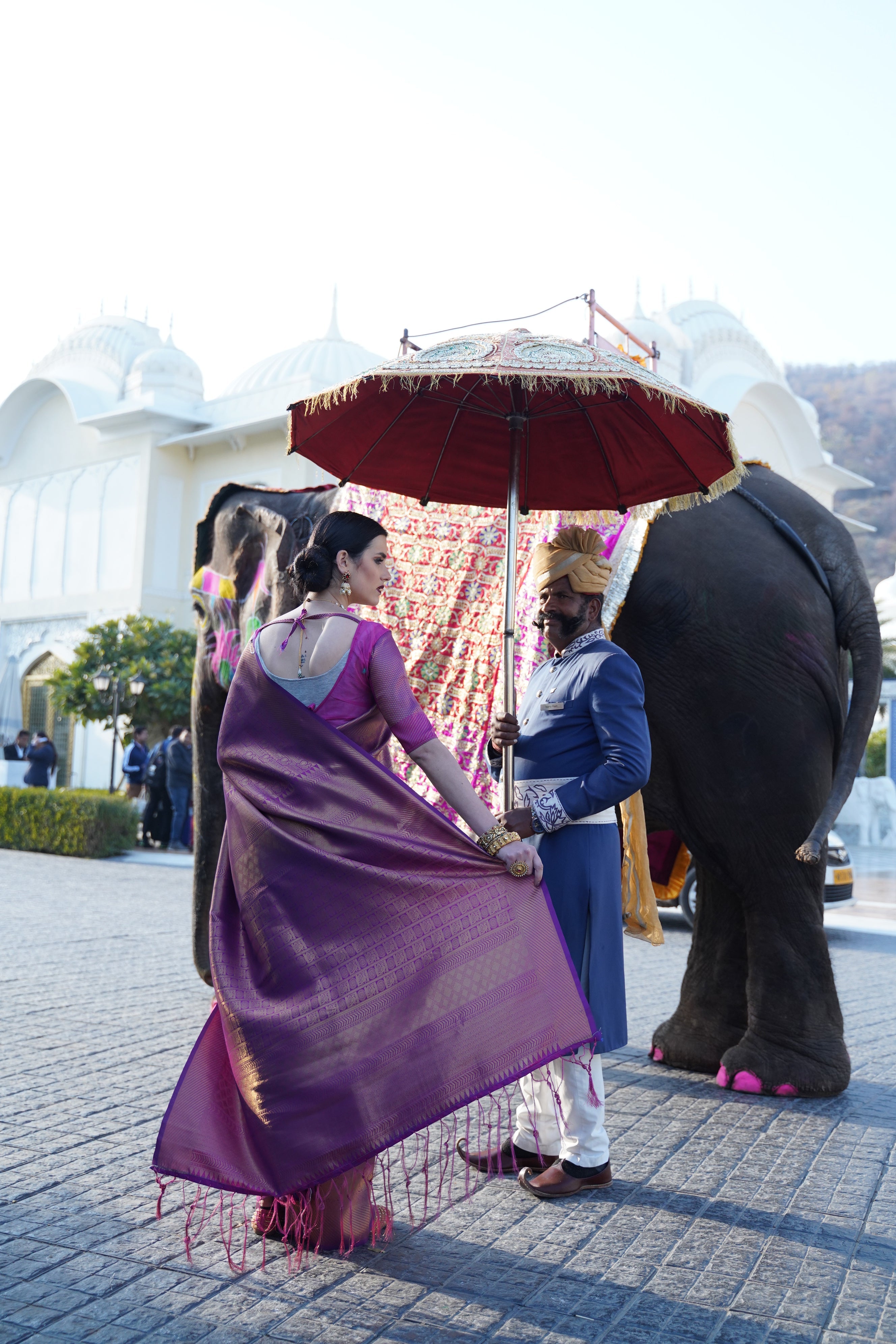 Royal Purple Kanjivaram Silk Saree