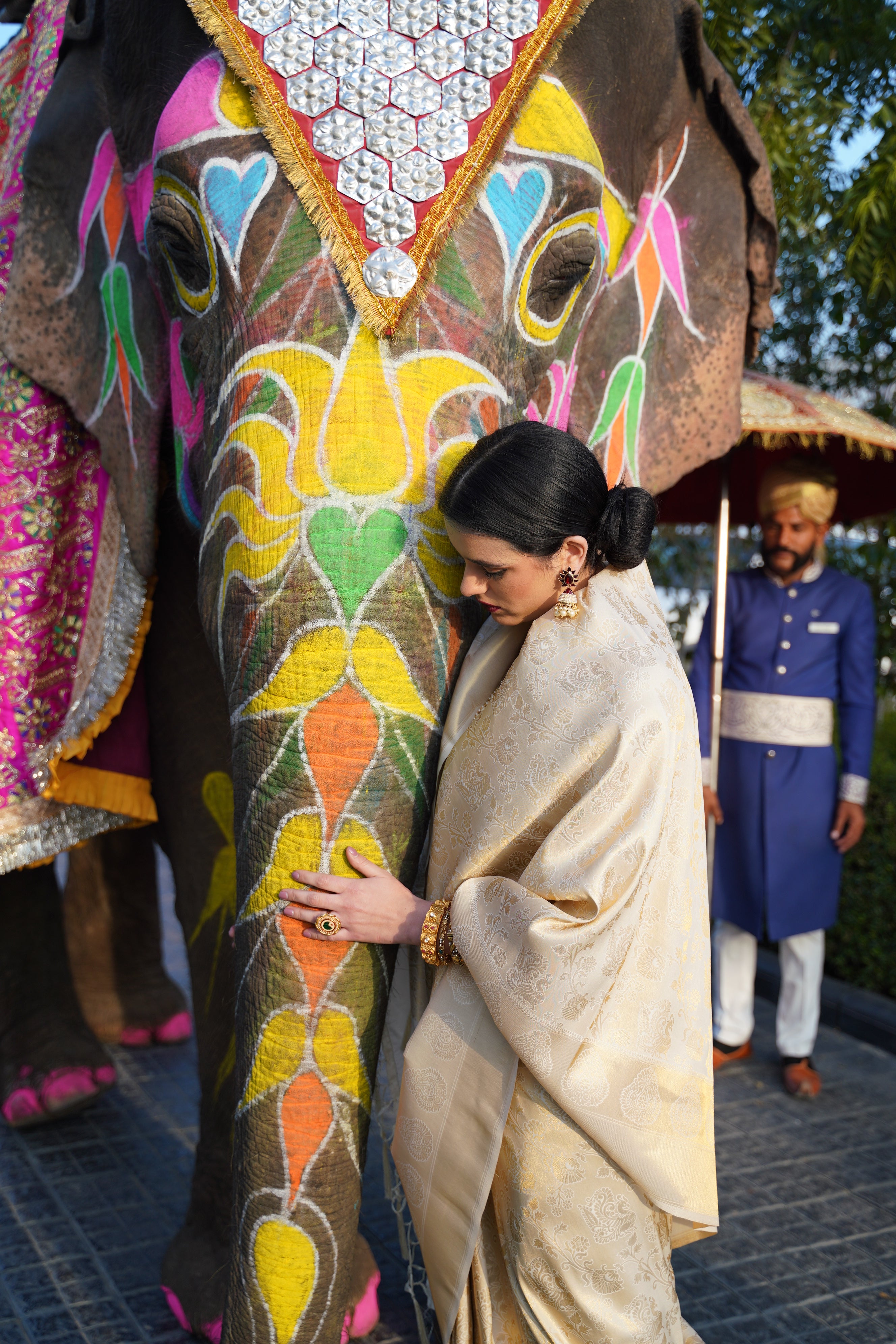 Golden Glow Kanjivaram Silk Saree